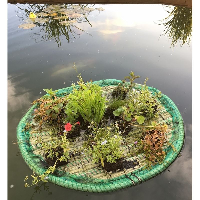 Schwimmende Pflanzeninsel