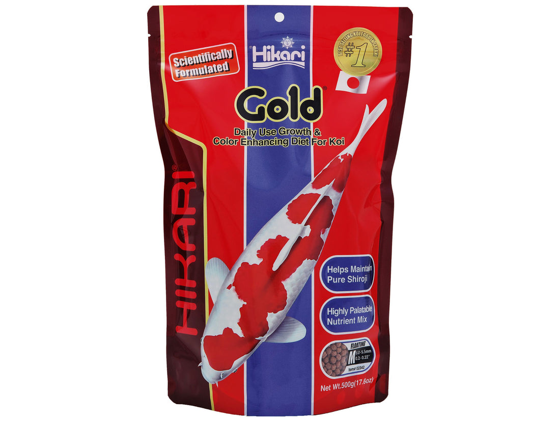 Hikari Gold