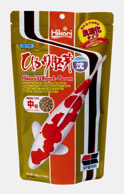 Hikari Wheat Germ Sinking