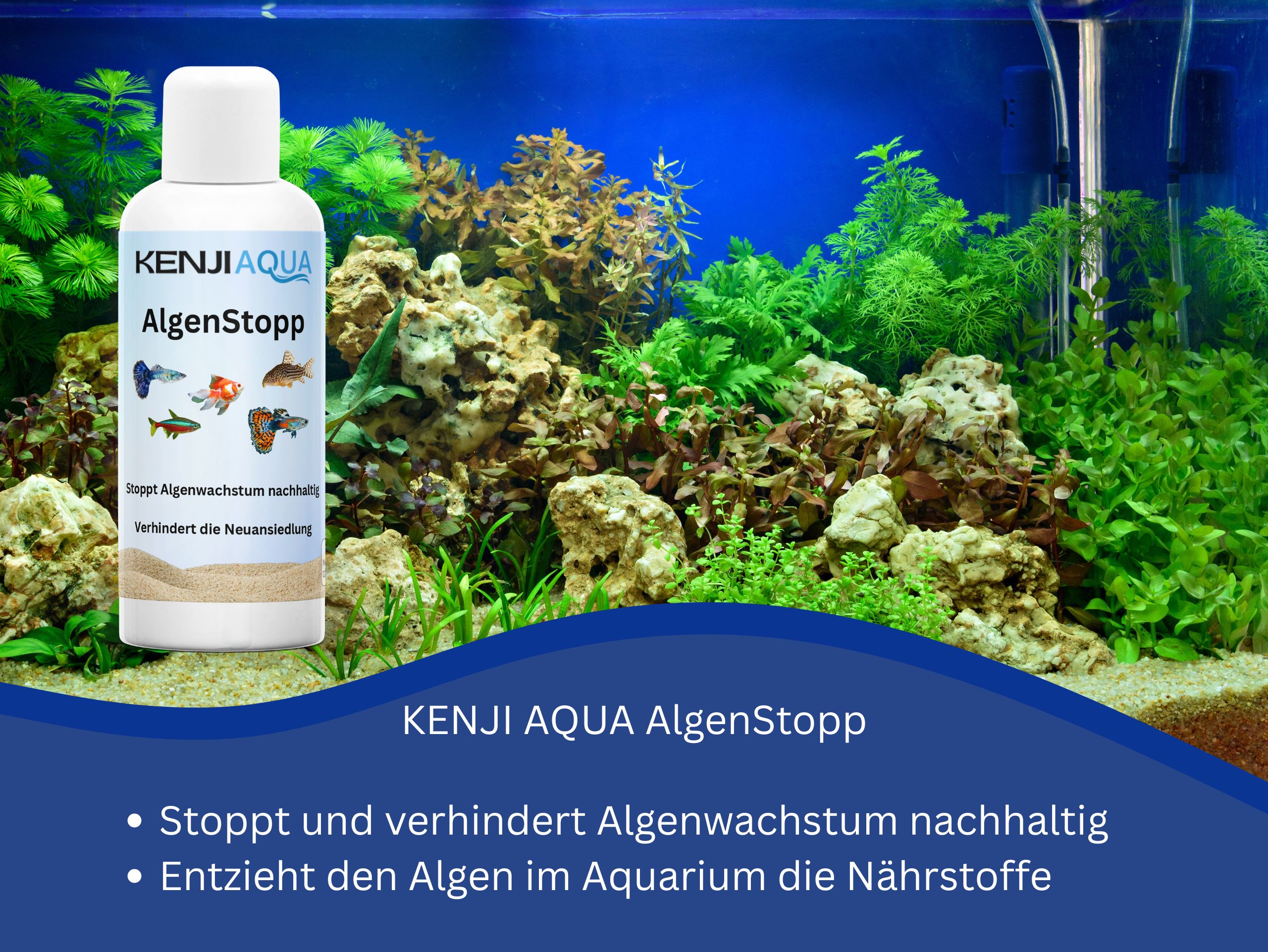 KENJI AQUA AlgenStopp