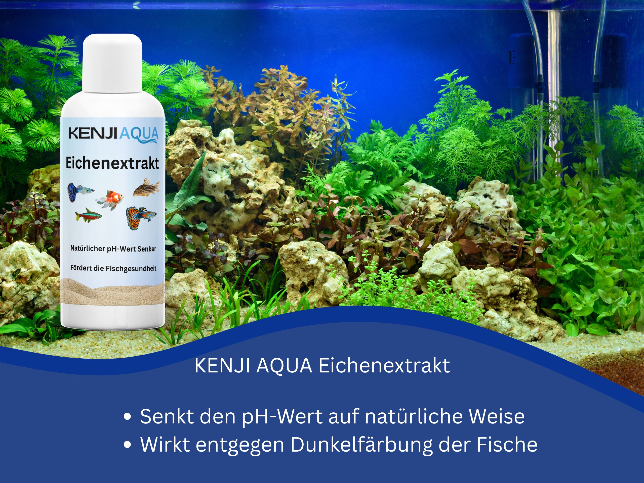 KENJI AQUA Eichenextrakt