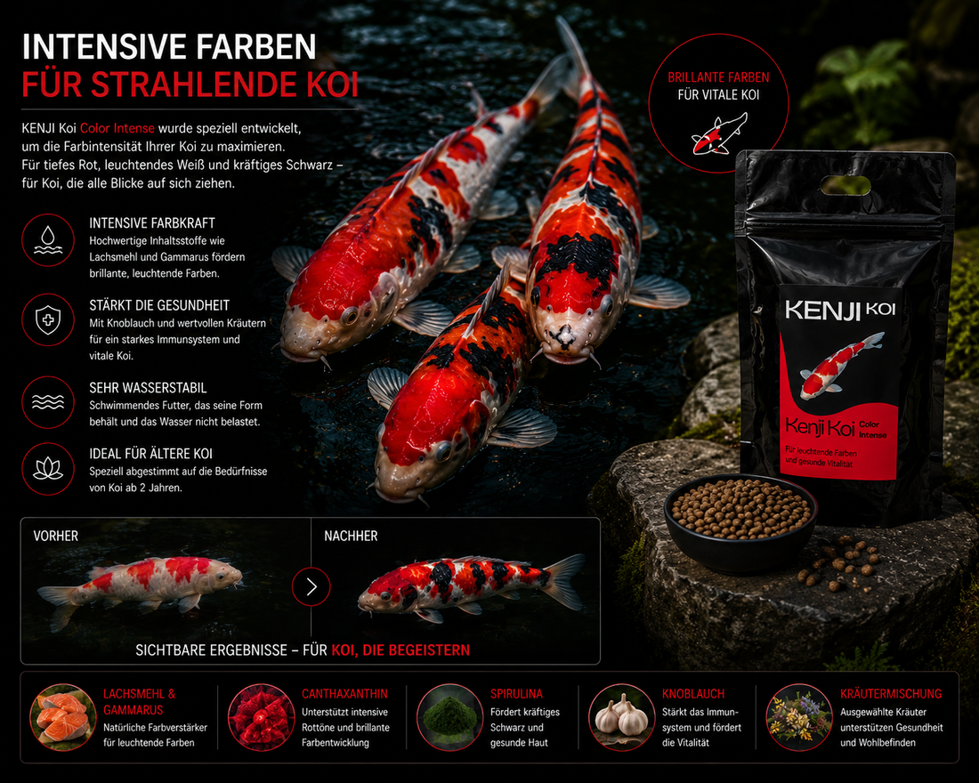 KENJI KOI Color Intense 5kg