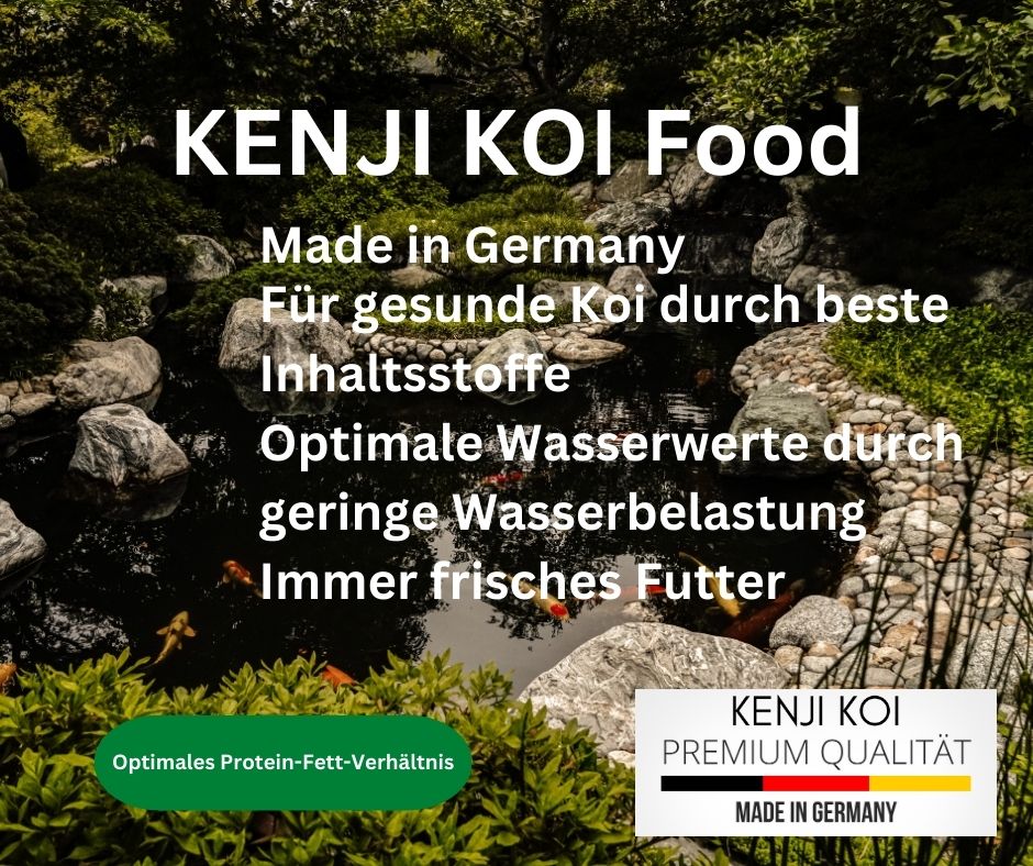 KENJI KOI Baby Food 3 - 1 KG