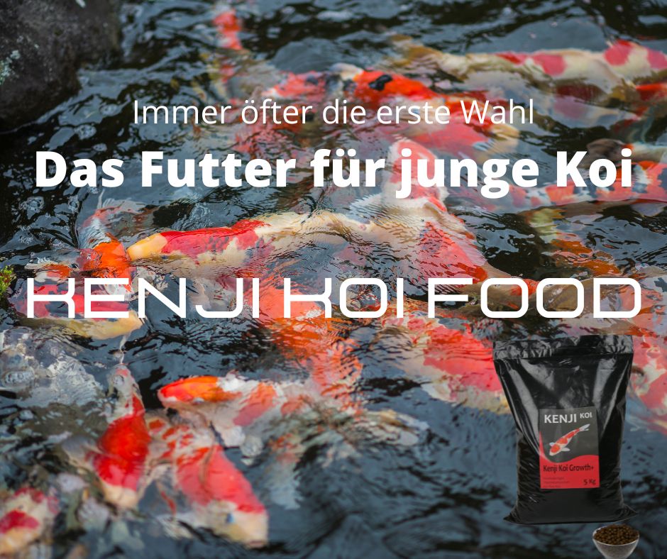 KENJI Koi Color & Growth 5kg