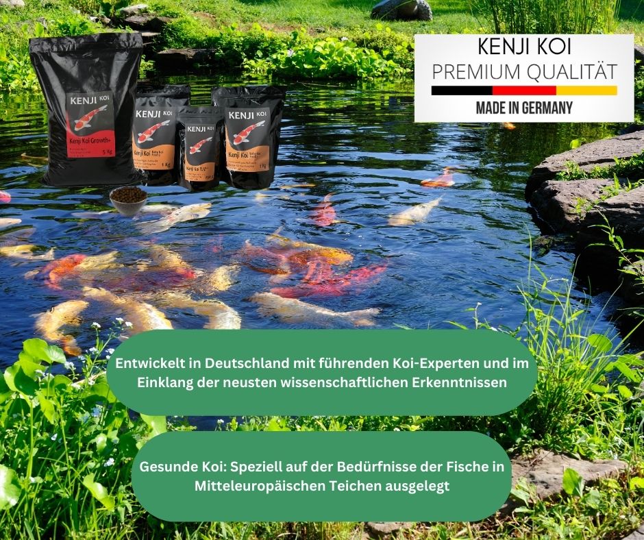 KENJI KOI Baby Food 3 - 1 KG