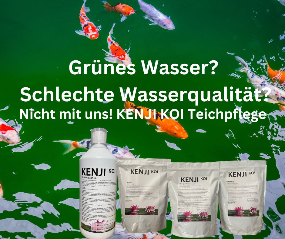 KENJI KOI Schlamm Ex 2,5 Kg
