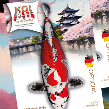 KOI ZANMAI Ausgabe 1/2024