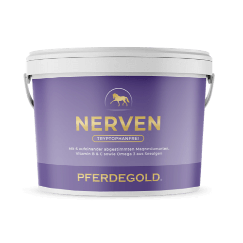 Nerven 2.0