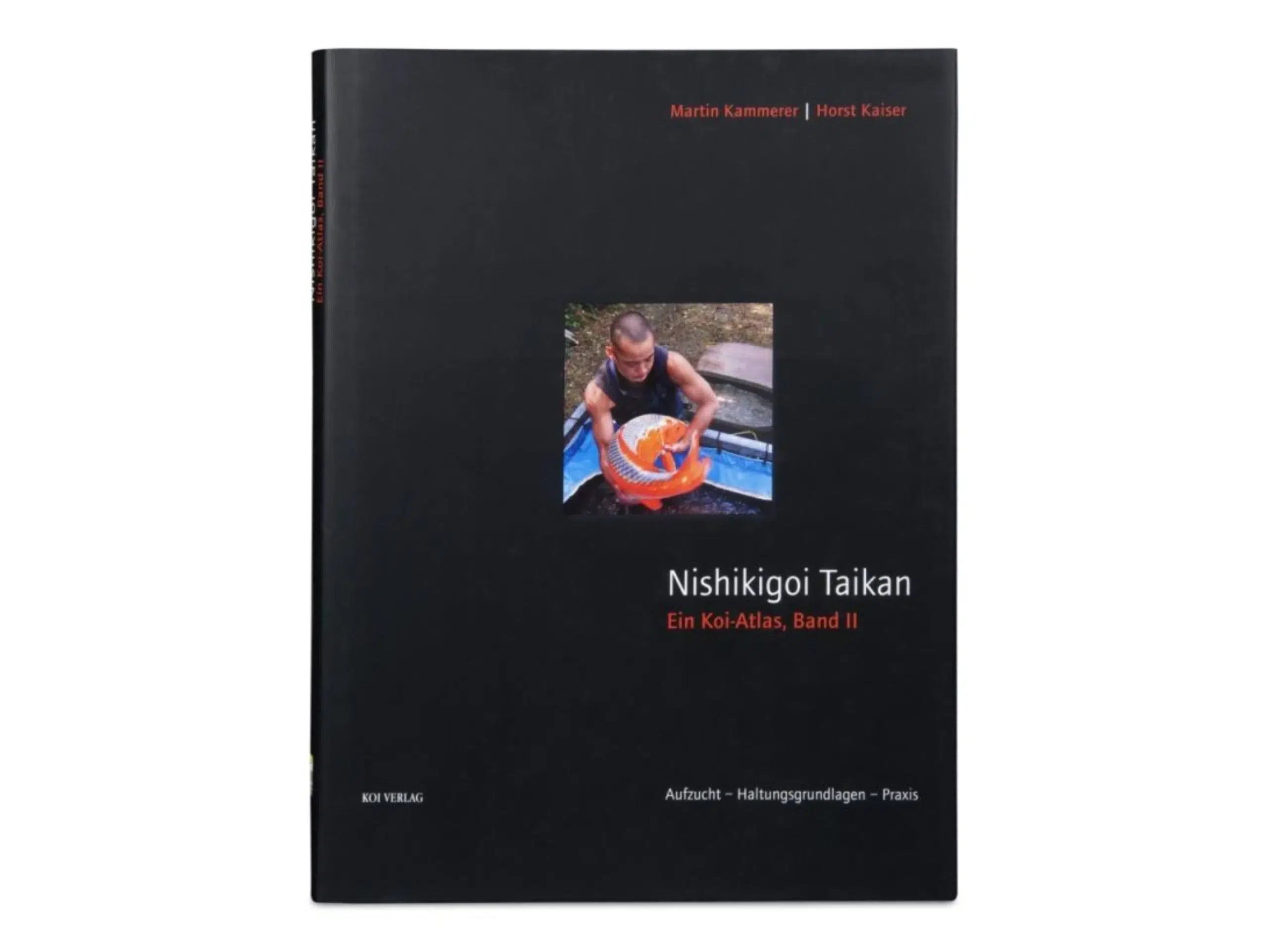 Nishikigoi Taikan Band 2