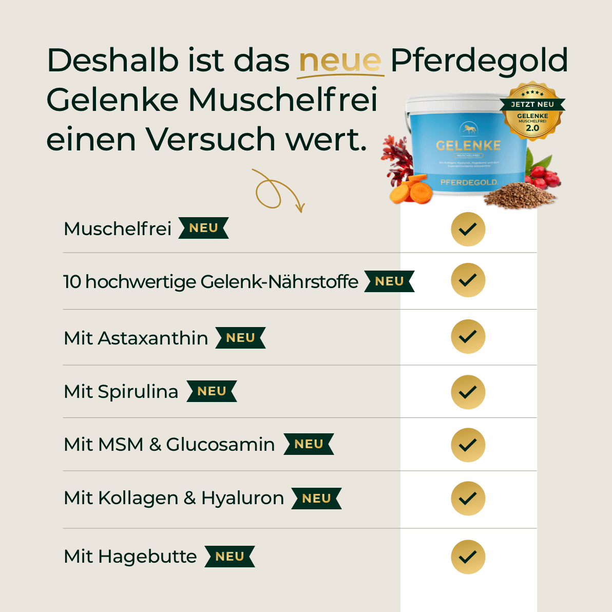 Gelenke Muschelfrei 2.0