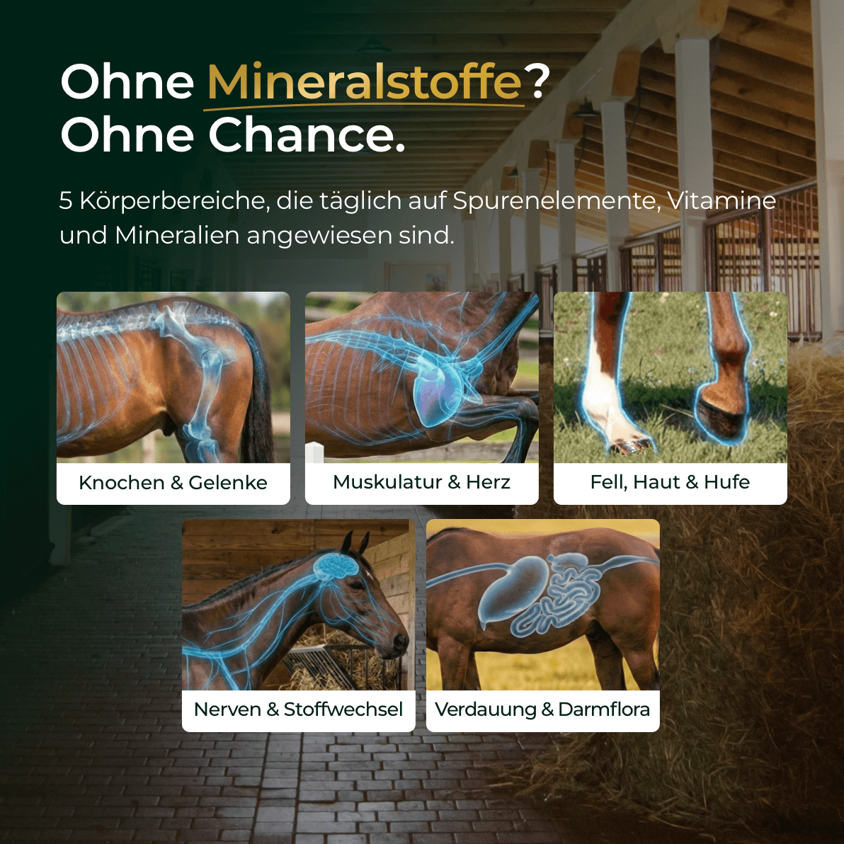 Mineral 2.0