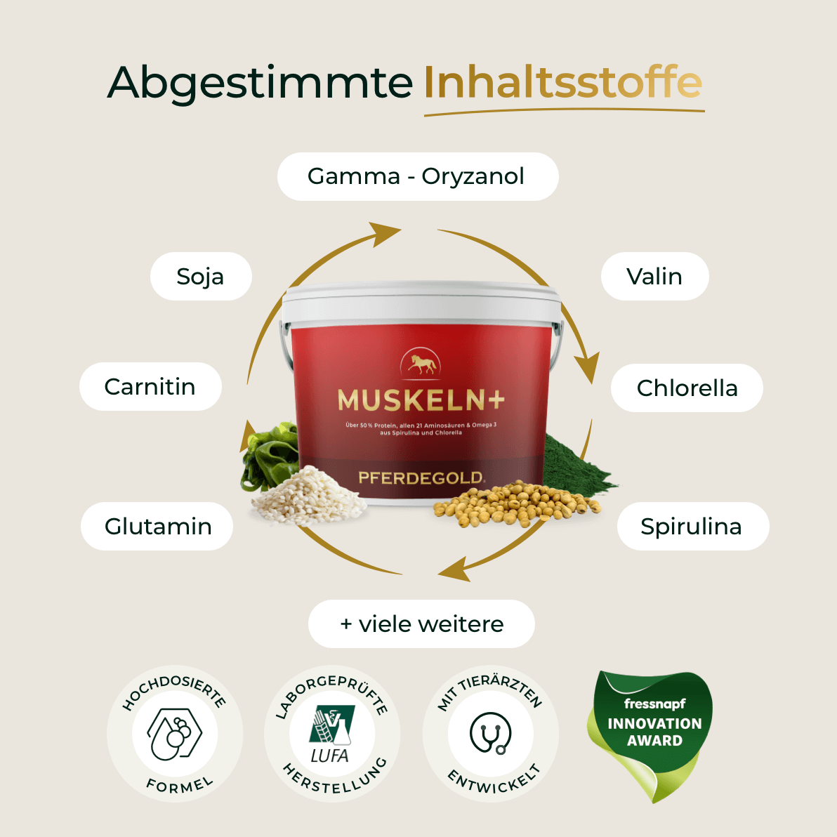 Muskeln+ 2.0