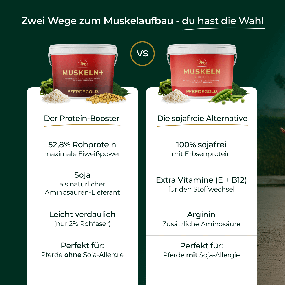 Muskeln+ 2.0