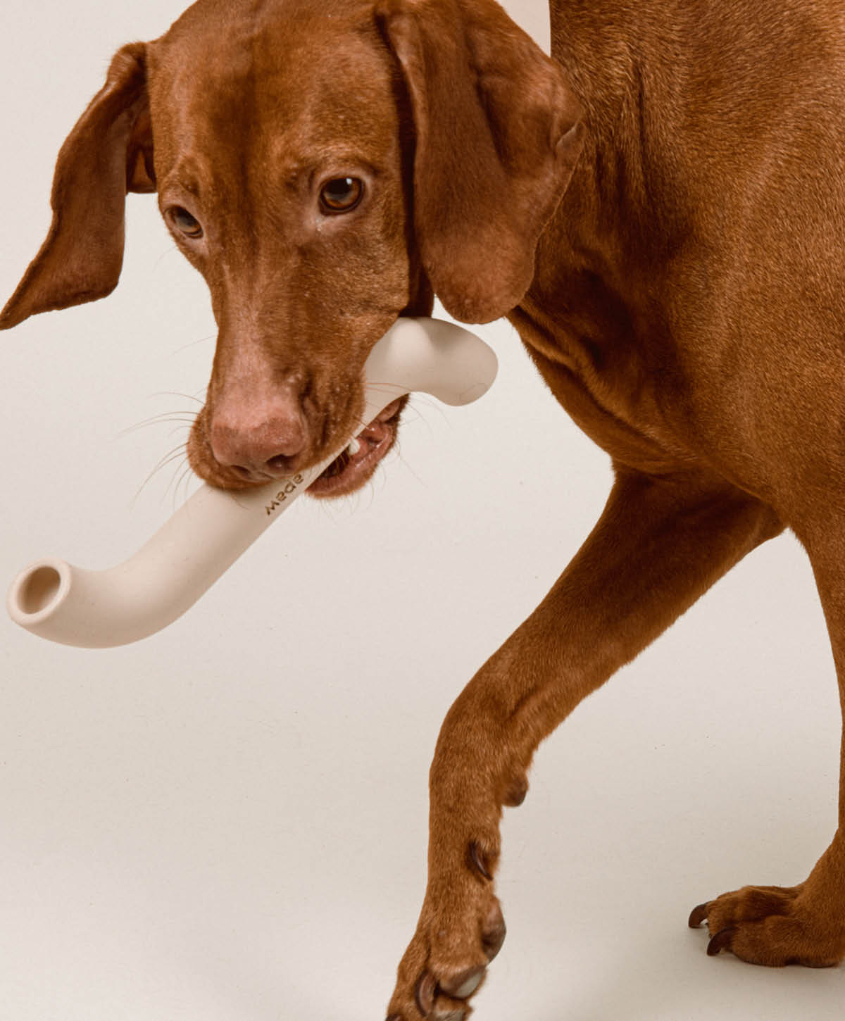 Rubber Bone