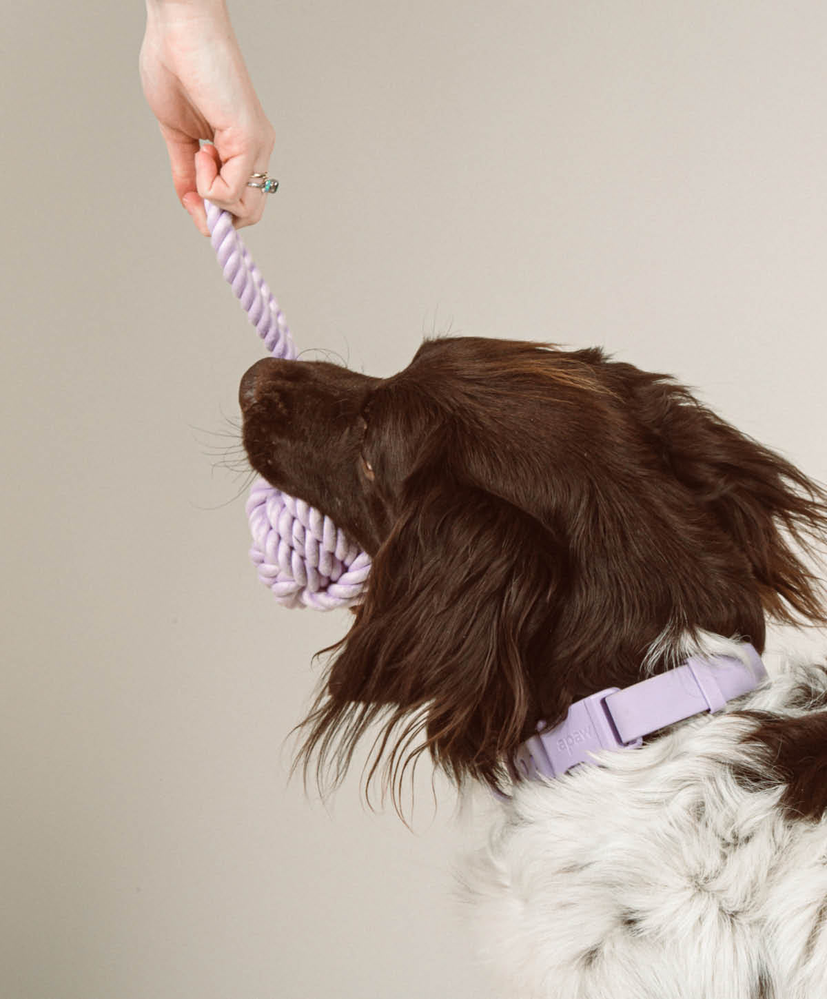 Twisted Rope Toy