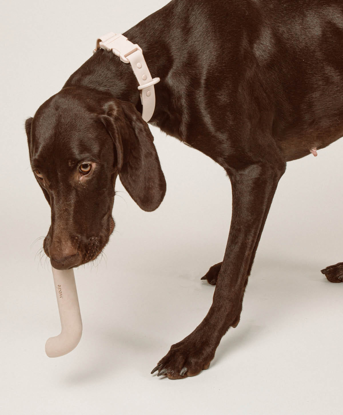 Rubber Bone