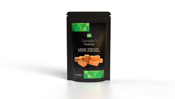 Premium Mini Ziegel "Terra"